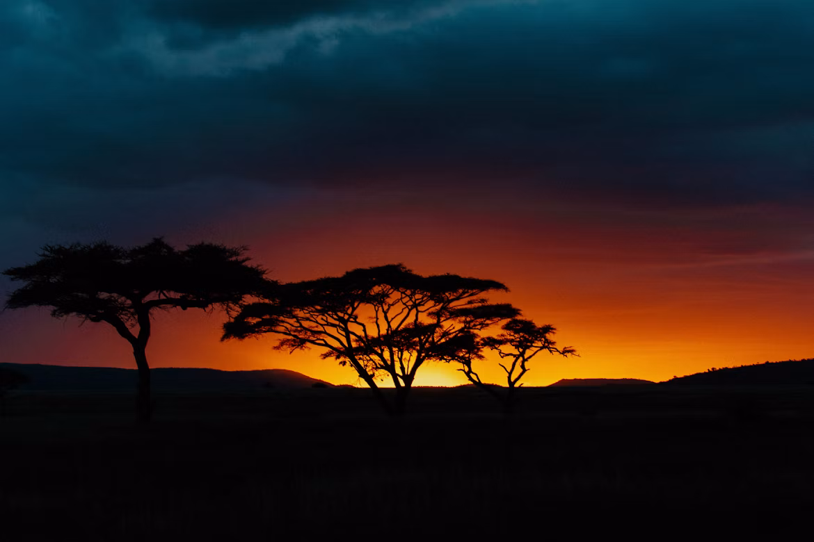 7 Days Kenya and Tanzania Safari