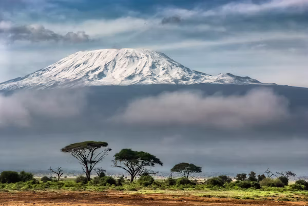 Mount Kilimanjaro view