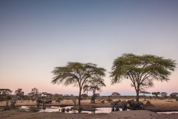 Kenya Wildlife Safari