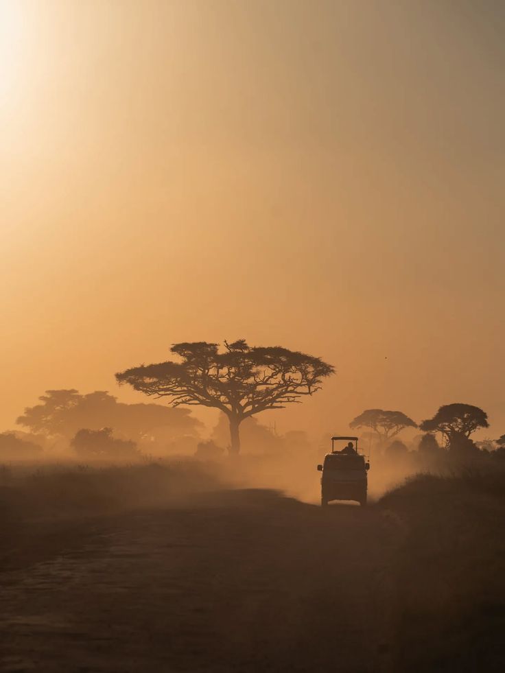 3 Days Samburu Safari