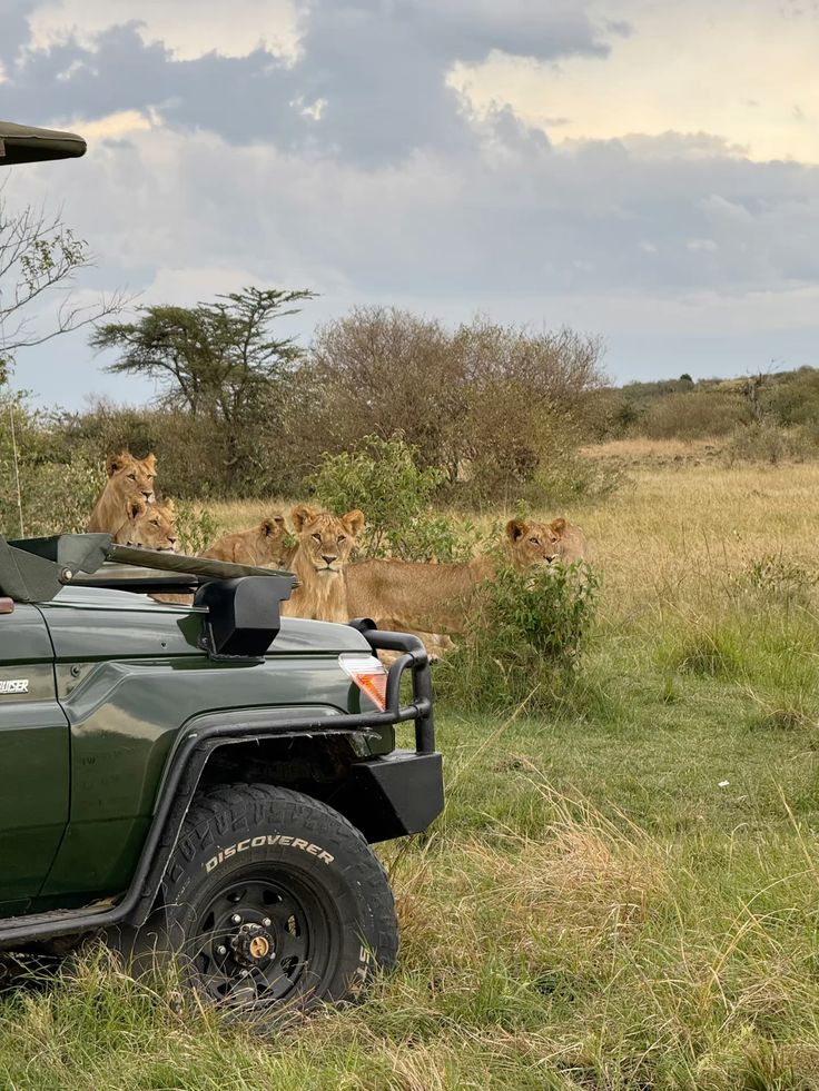 4 Days Kenya Budget 4x4 Safari