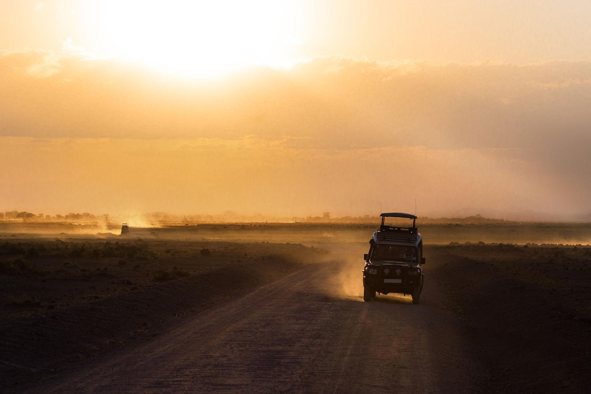 Kenya Wildlife Safari