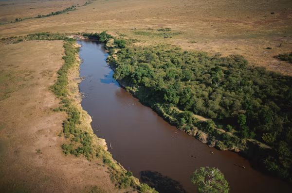Rhino at Lake Nakuru